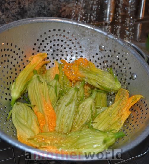 Easy Zucchini Flowers Recipe amotherworld