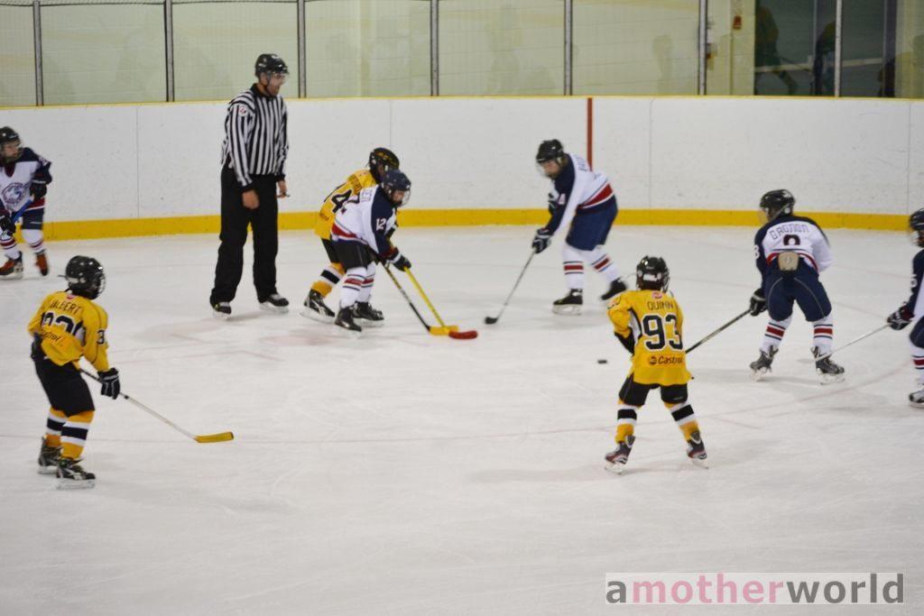Hockey Parents Must Take Respect in Sport Program crazy hockey parents