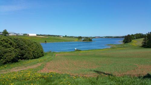 Must-See Things to Do in Prince Edward Island