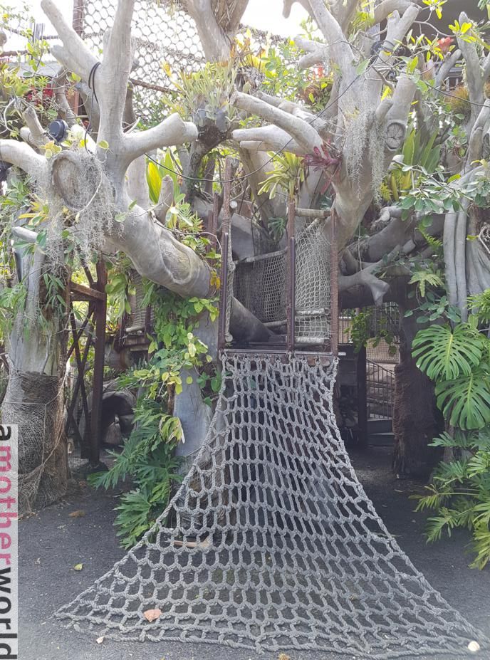 Top Vacation Spot: Fun Family Vibe in San Diego- Botanic Garden Hamilton's Children Garden