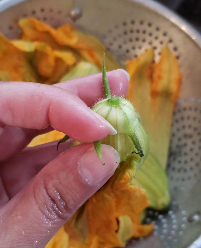 zucchini flowers recipe