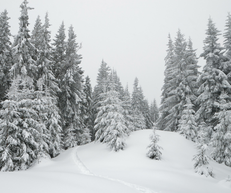 5 Easy Ways to Boost Your Mood This Winter